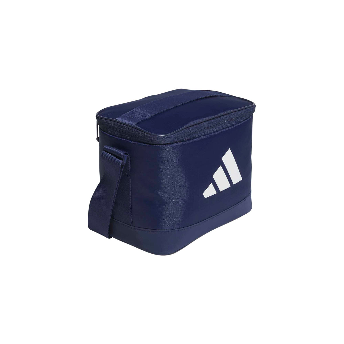 Cooler Bag