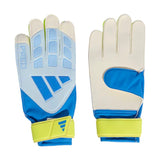 Predator Goalkeeper Glove Training