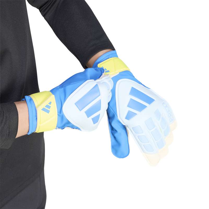 Predator Goalkeeper Glove Training