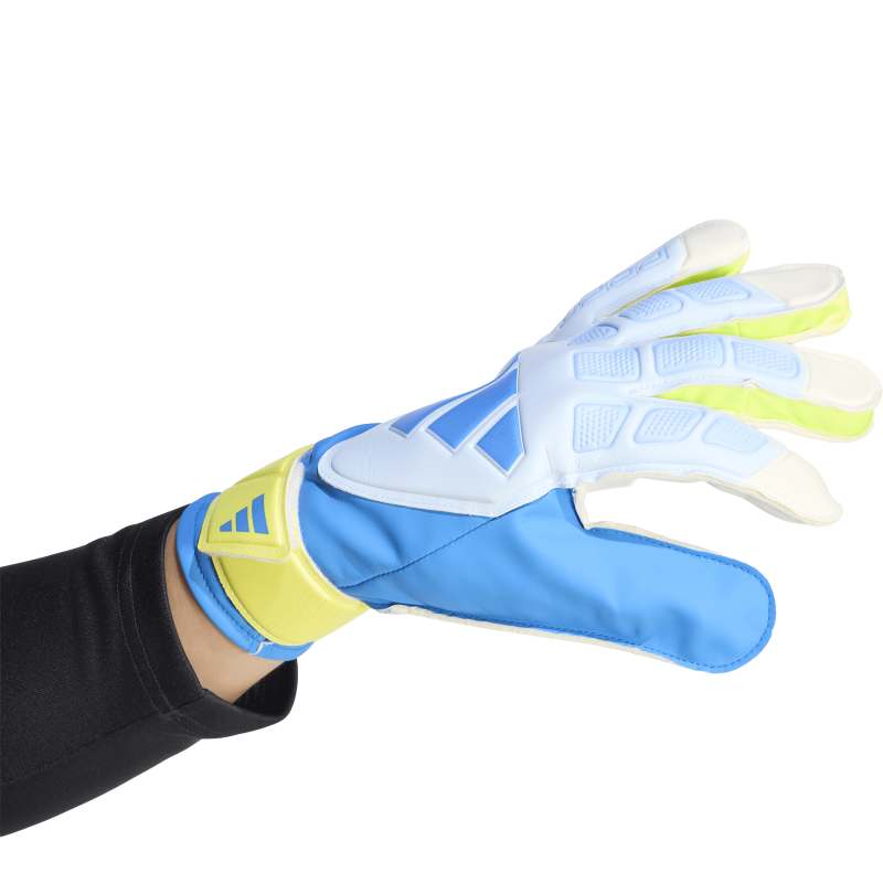 Predator Goalkeeper Glove Training