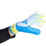 Predator Goalkeeper Glove Training