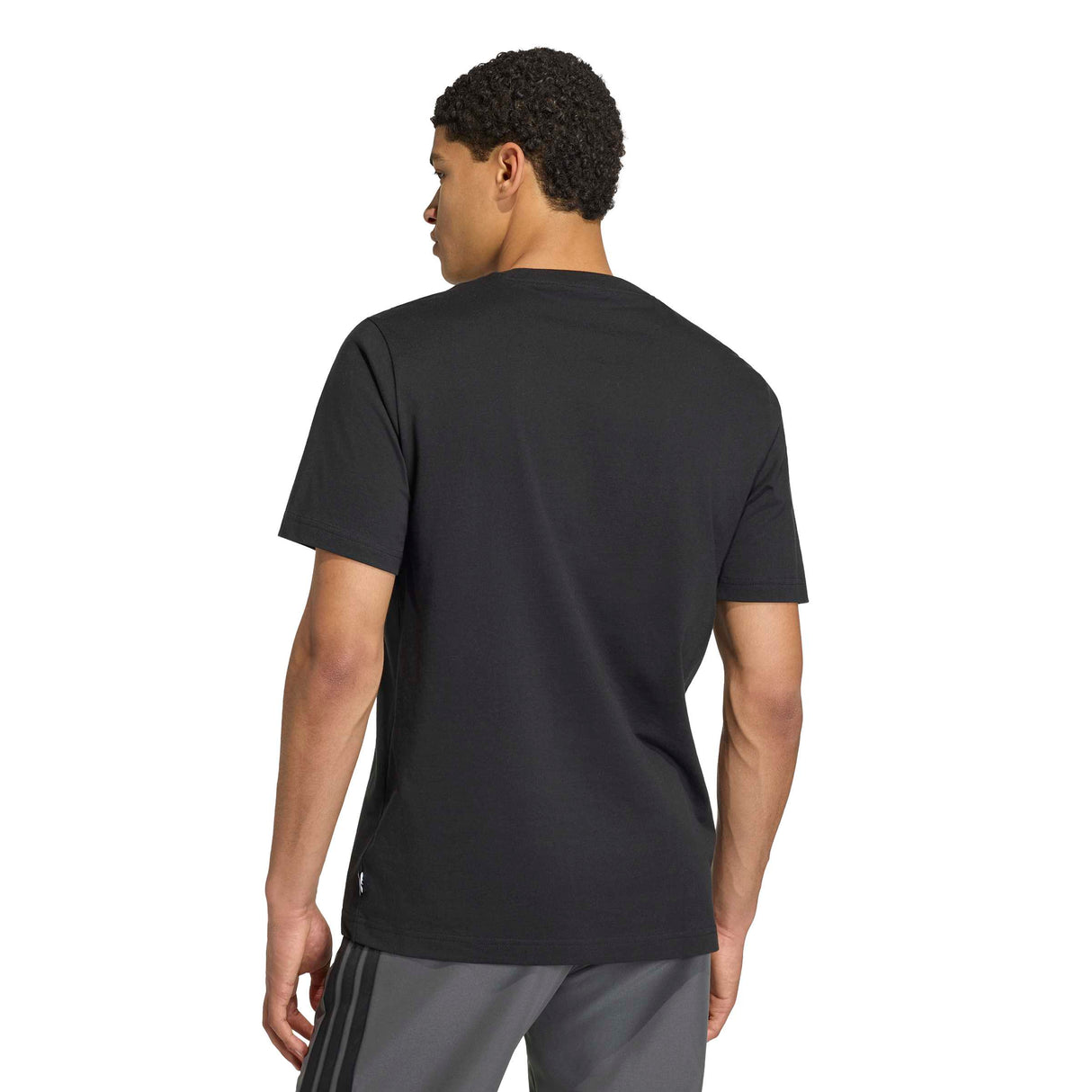 Panda Chill Camo Graphic T-Shirt