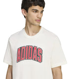 STADIUM COLLEGIATE GRAPHIC T-SHIRT