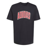 STADIUM COLLEGIATE GRAPHIC T-SHIRT