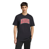 STADIUM COLLEGIATE GRAPHIC T-SHIRT