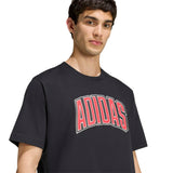 STADIUM COLLEGIATE GRAPHIC T-SHIRT