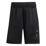 adidas Minecraft Training Summer Set