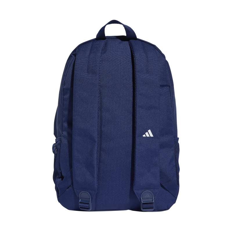 Clsc Pcase Bp