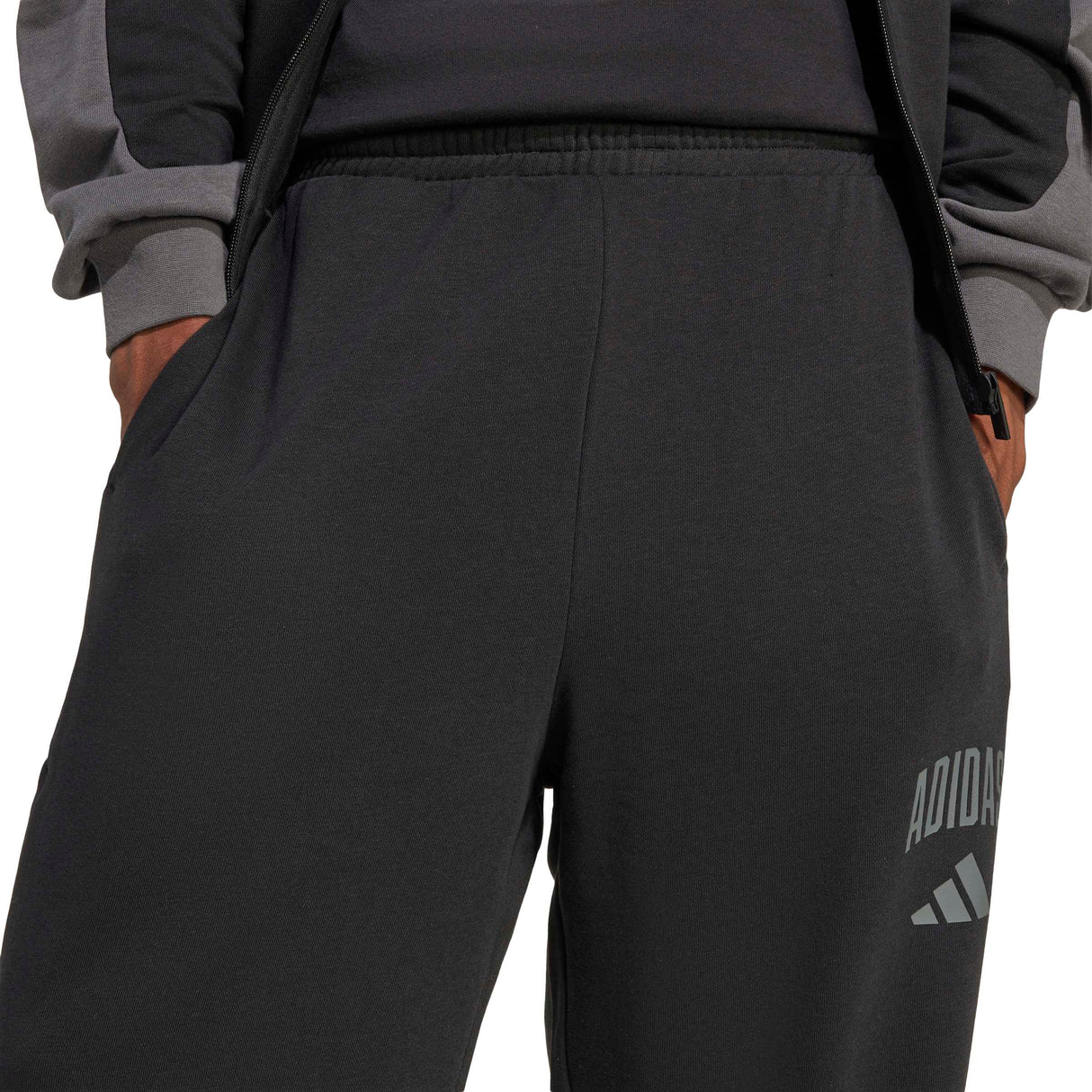 COLLEGIATE FRENCH TERRY PANTS