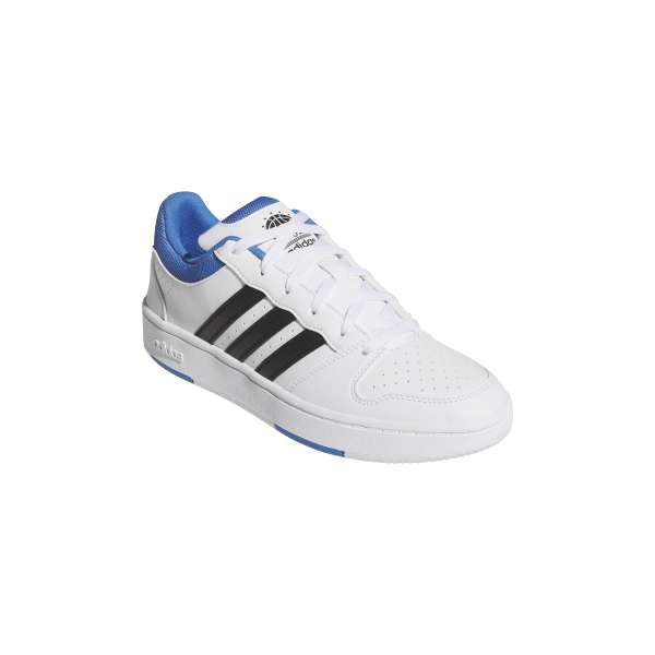 Hoops Classic Shoes