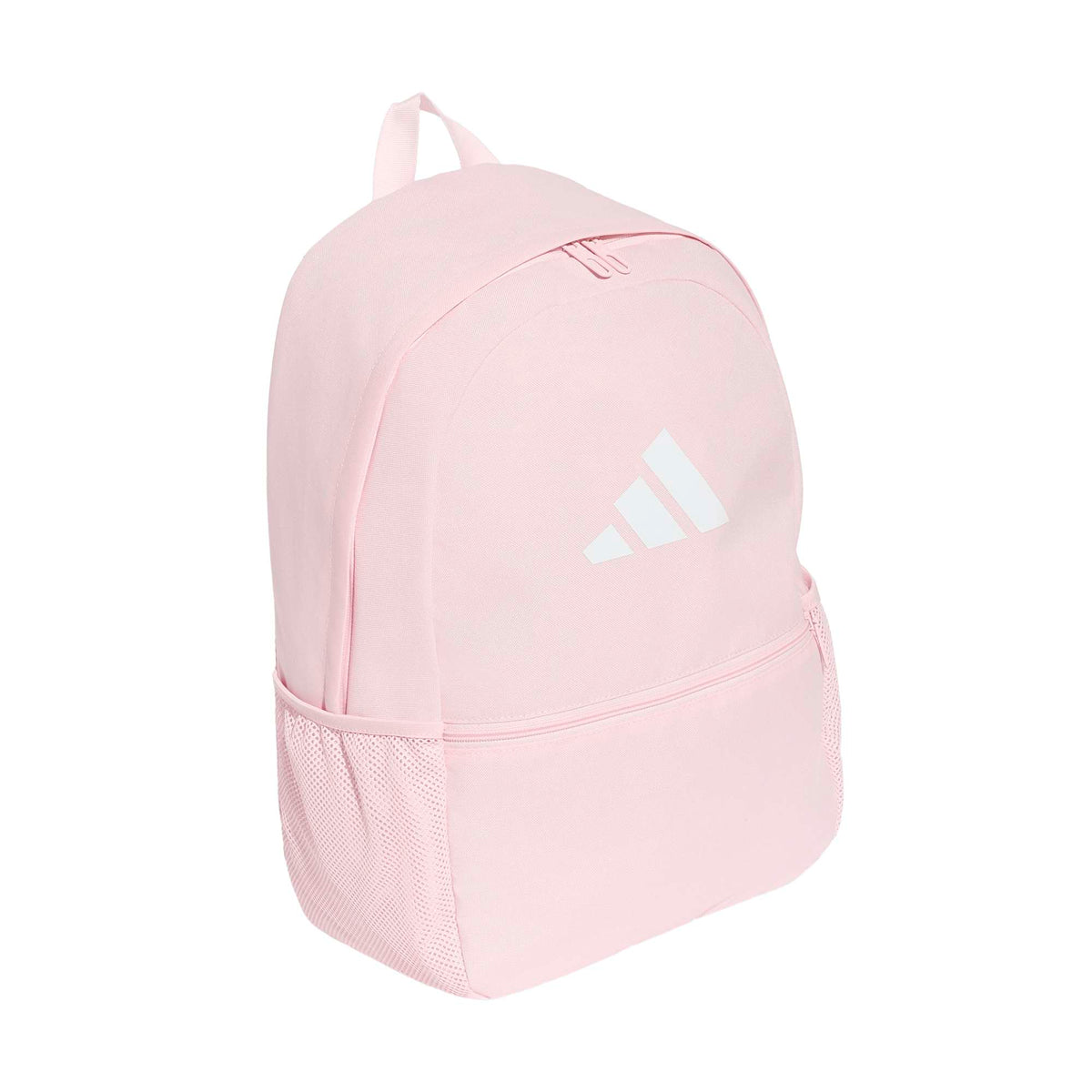 Clsc Pcase Bp