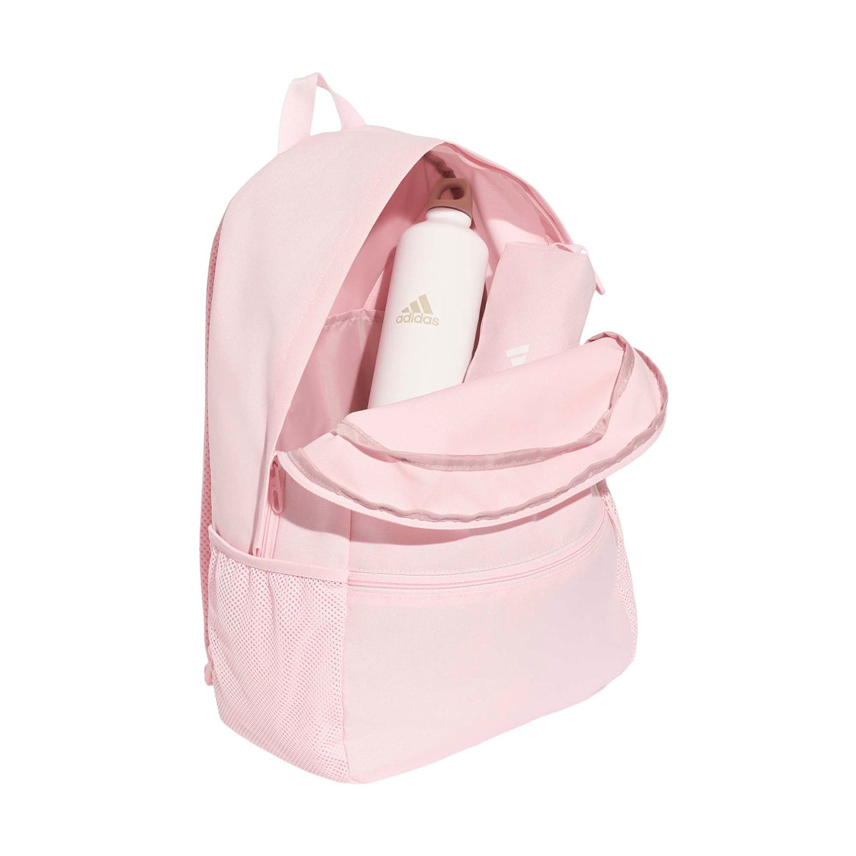 Clsc Pcase Bp