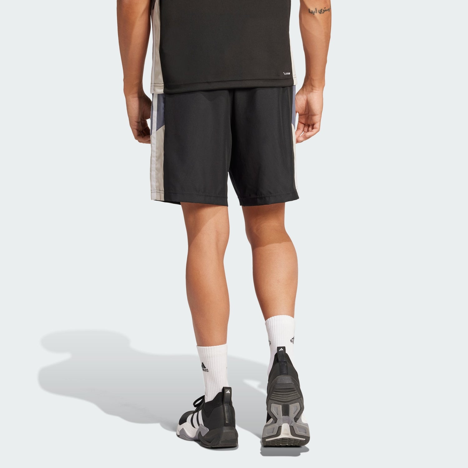 Train Essentials Seasonal Colorblock Shorts