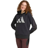 Holiday Metallic Graphic Hoodie