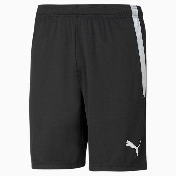 teamLIGA Shorts Puma Black-Puma White