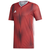 تيرو 19 جيه إس واي