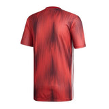 تيرو 19 جيه إس واي