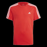 Designed To Move Tee And Shorts Set